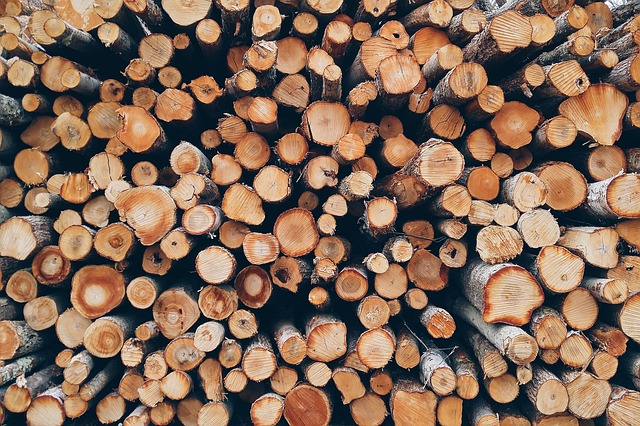 Flexibele plinten en houten plinten: de perfecte afwerking voor elk interieur