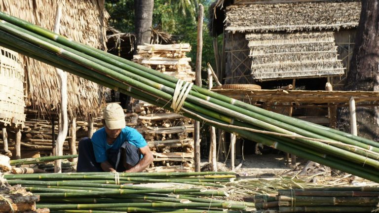 Homestead-toepassingen voor bamboe • In plaats daarvan